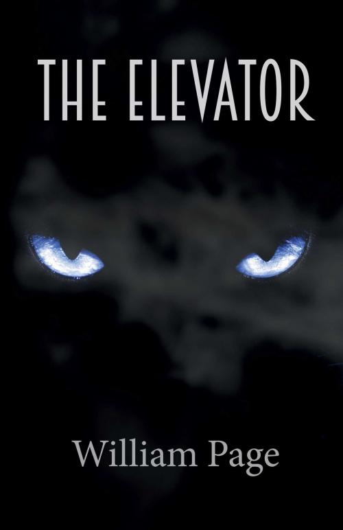Cover of the book The Elevator by William Page, BookBaby