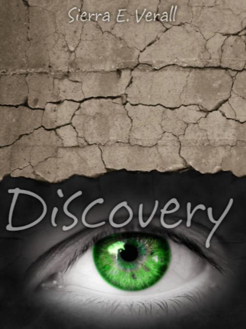Cover of the book Discovery by Sierra E. Verall, David DiGioacchino, BookBaby