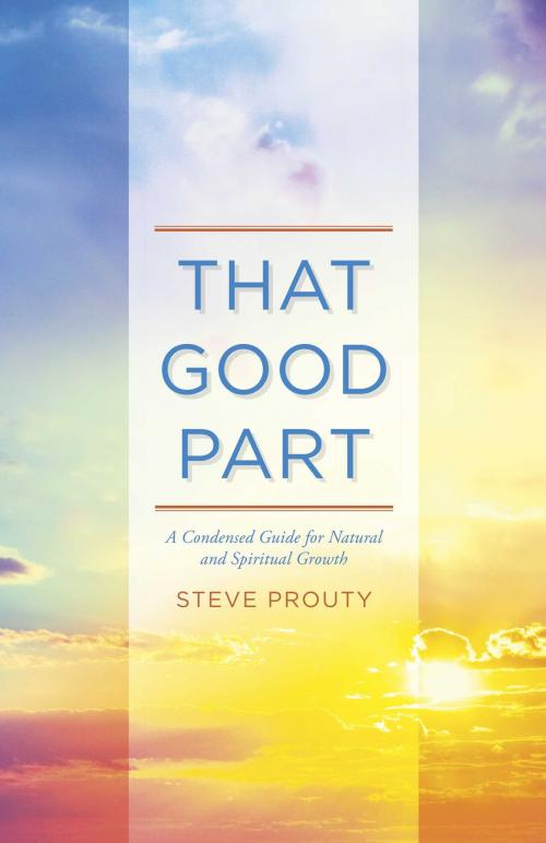 Cover of the book That Good Part by Steve Prouty, BookBaby