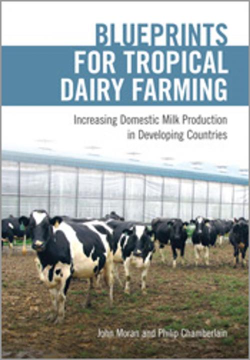Cover of the book Blueprints for Tropical Dairy Farming by John Moran, Philip Chamberlain, CSIRO PUBLISHING