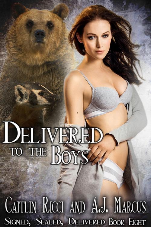 Cover of the book Delivered to the Boys by Caitlin Ricci, A.J. Marcus, eXtasy Books Inc