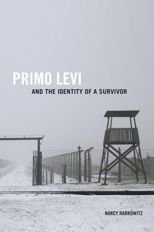 Cover of the book Primo Levi and the Identity of a Survivor by Nancy Harrowitz, University of Toronto Press, Scholarly Publishing Division
