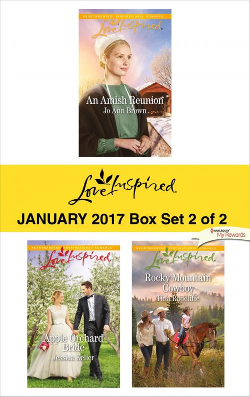 Cover of the book Harlequin Love Inspired January 2017-Box Set 2 of 2 by Jo Ann Brown, Jessica Keller, Tina Radcliffe, Harlequin