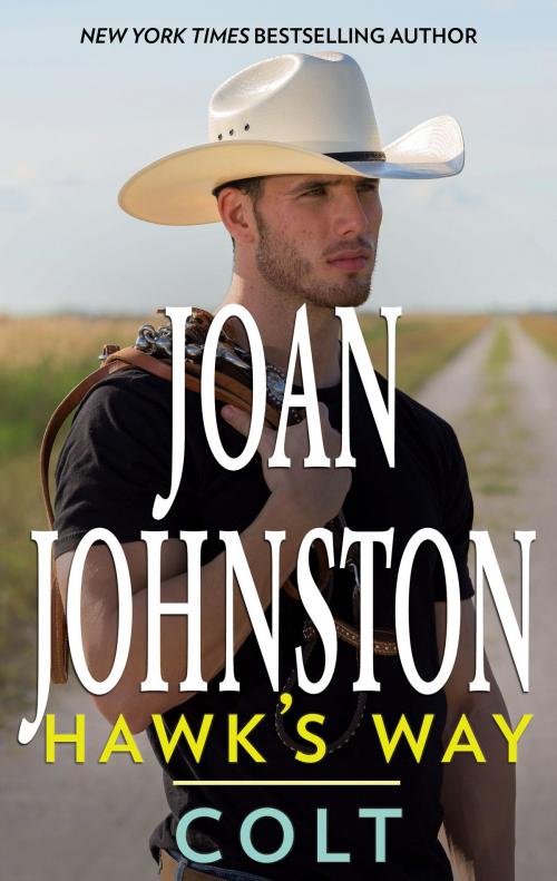 Cover of the book Hawk's Way: Colt by Joan Johnston, HQN Books