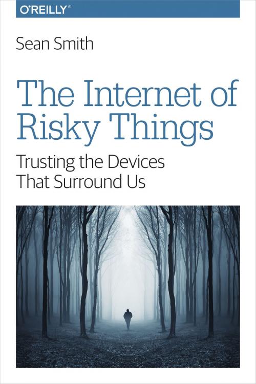 Cover of the book The Internet of Risky Things by Sean Smith, O'Reilly Media