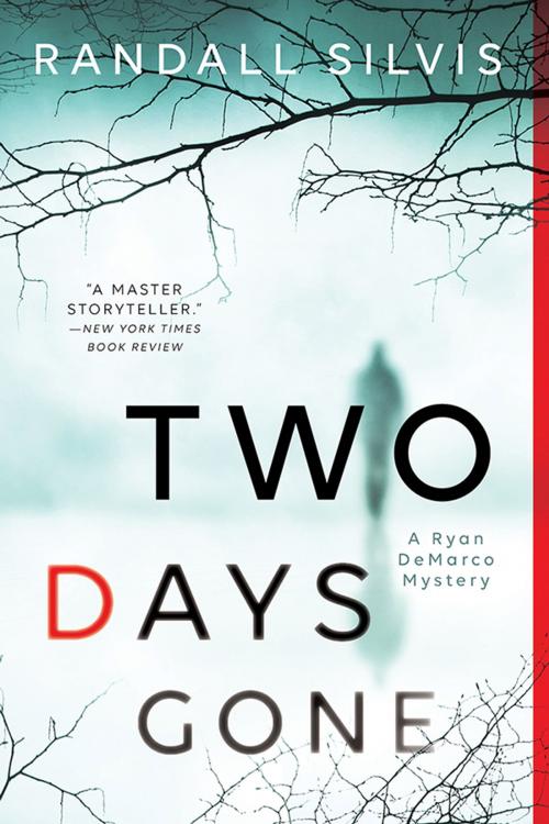 Cover of the book Two Days Gone by Randall Silvis, Sourcebooks