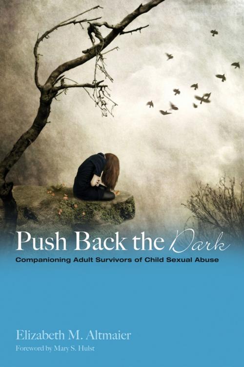 Cover of the book Push Back the Dark by Elizabeth M. Altmaier, Wipf and Stock Publishers