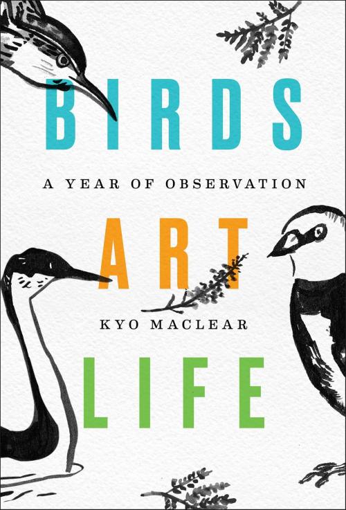 Cover of the book Birds Art Life by Kyo Maclear, Scribner
