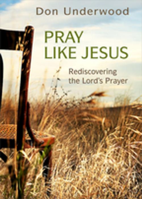 Cover of the book Pray Like Jesus by Don Underwood, Abingdon Press