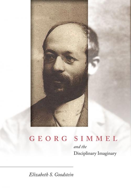 Cover of the book Georg Simmel and the Disciplinary Imaginary by Elizabeth S. Goodstein, Stanford University Press