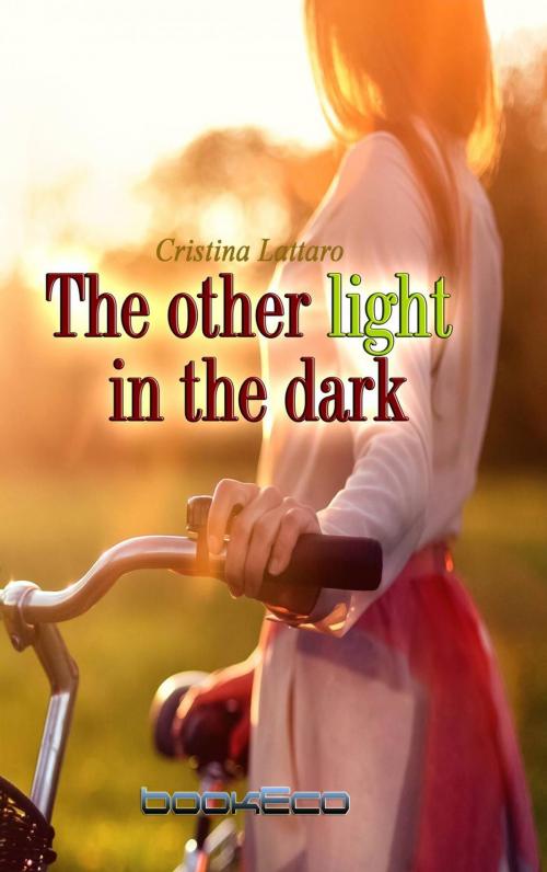 Cover of the book The other light in the dark by cristina lattaro, Bookeco Media