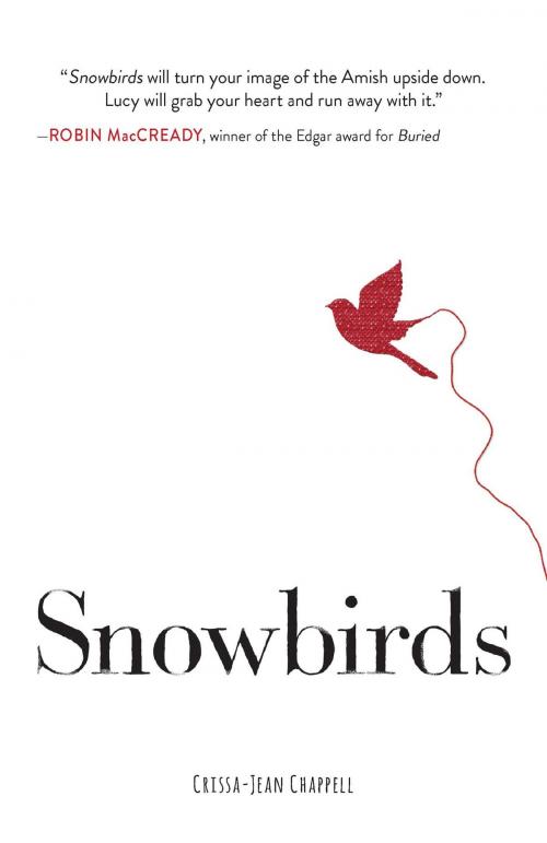 Cover of the book Snowbirds by Crissa Chappell, Simon Pulse