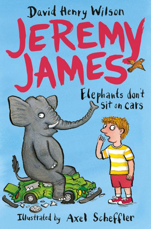 Cover of the book Elephants Don't Sit on Cars by David Henry Wilson, Pan Macmillan