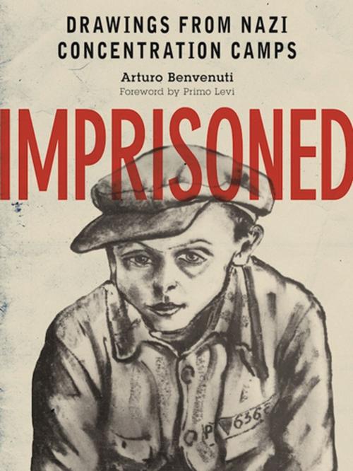 Cover of the book Imprisoned by Arturo Benvenutti, Skyhorse Publishing