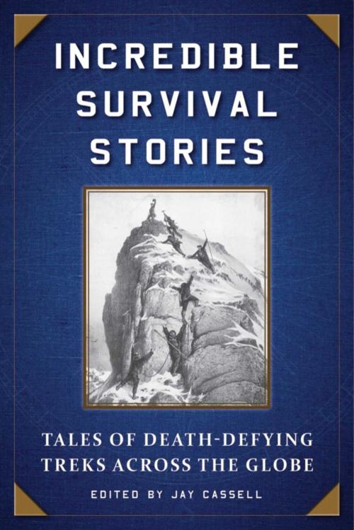Cover of the book Incredible Survival Stories by , Skyhorse