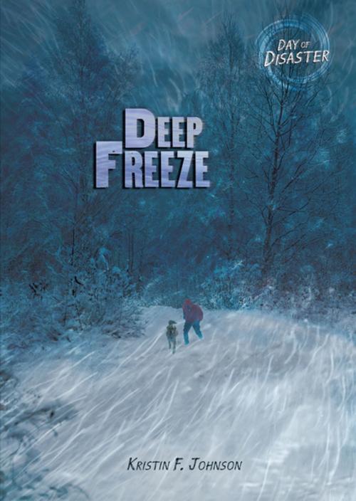 Cover of the book Deep Freeze by Kristin Johnson, Lerner Publishing Group