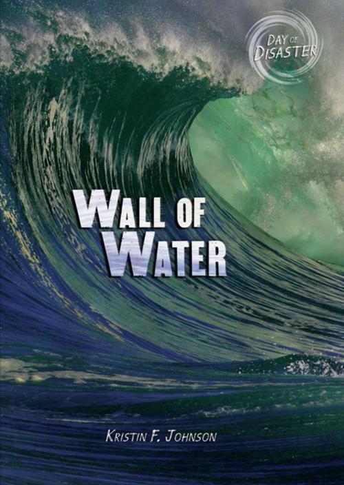 Cover of the book Wall of Water by Kristin Johnson, Lerner Publishing Group