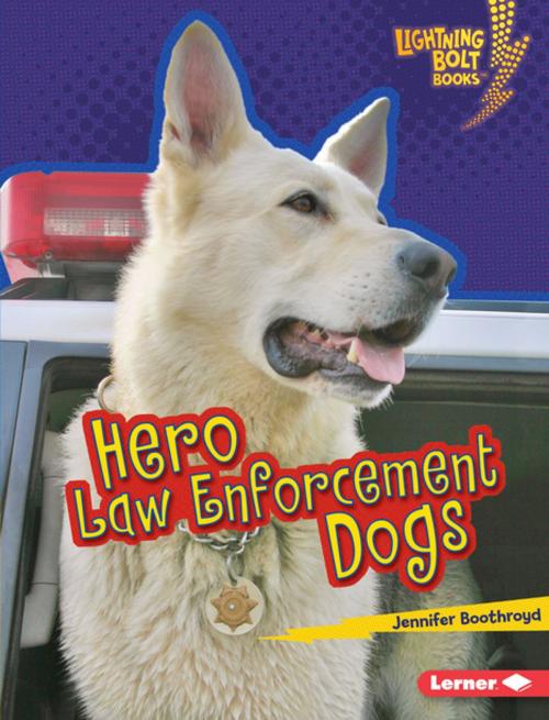 Cover of the book Hero Law Enforcement Dogs by Jennifer Boothroyd, Lerner Publishing Group