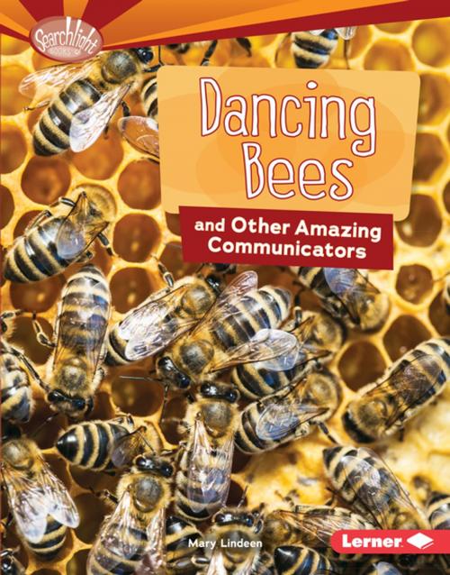 Cover of the book Dancing Bees and Other Amazing Communicators by Mary Lindeen, Lerner Publishing Group