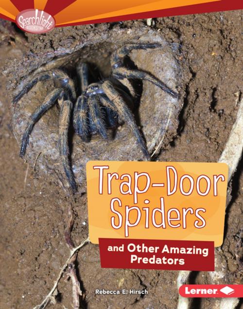 Cover of the book Trap-Door Spiders and Other Amazing Predators by Rebecca E. Hirsch, Lerner Publishing Group