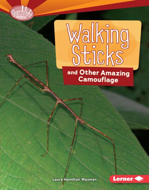 Cover of the book Walking Sticks and Other Amazing Camouflage by Laura Hamilton Waxman, Lerner Publishing Group