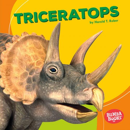 Cover of the book Triceratops by Harold Rober, Lerner Publishing Group