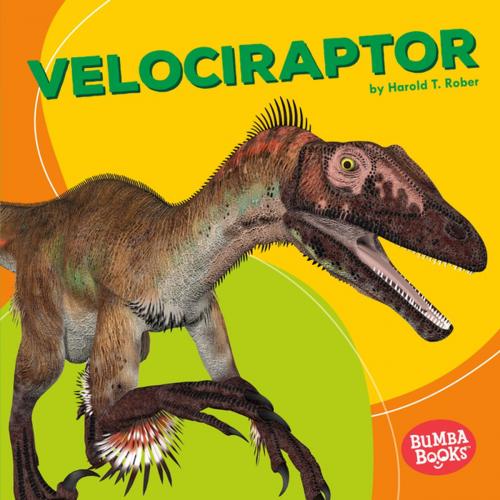 Cover of the book Velociraptor by Harold Rober, Lerner Publishing Group