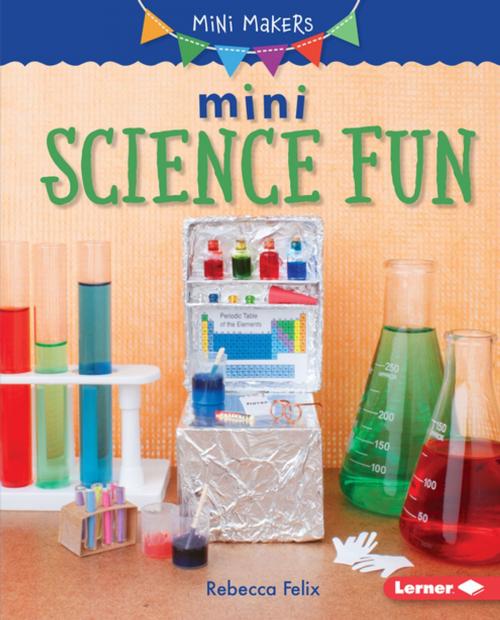 Cover of the book Mini Science Fun by Rebecca Felix, Lerner Publishing Group