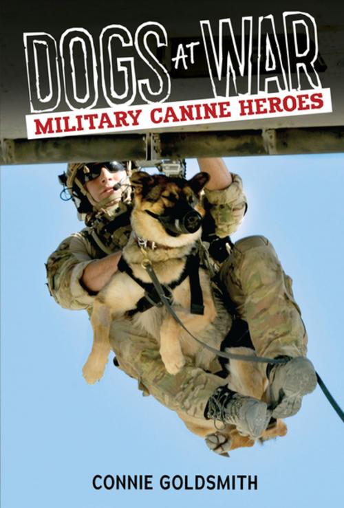 Cover of the book Dogs at War by Connie Goldsmith, Lerner Publishing Group