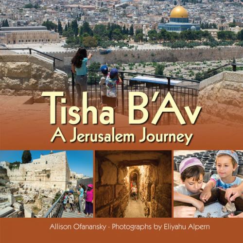 Cover of the book Tisha B'Av by Allison Maile Ofanansky, Lerner Publishing Group