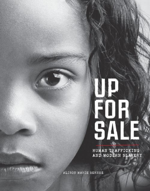 Cover of the book Up for Sale by Alison Marie Behnke, Lerner Publishing Group