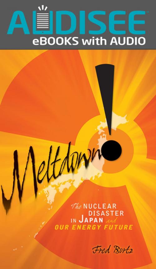 Cover of the book Meltdown! by Alfred B. Bortz, Lerner Publishing Group