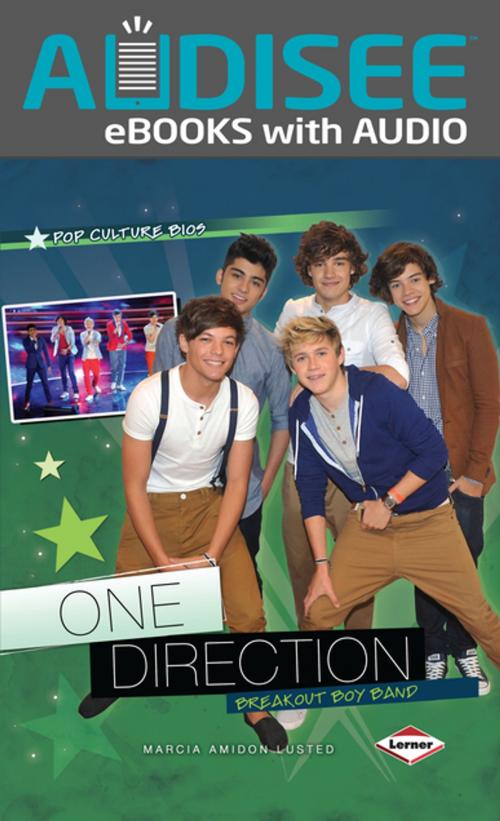Cover of the book One Direction by Marcia Amidon Lusted, Lerner Publishing Group