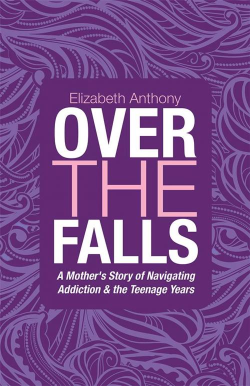 Cover of the book Over the Falls by Elizabeth Anthony, WestBow Press