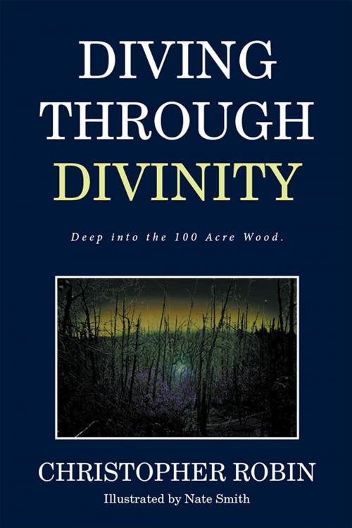 Cover of the book Diving Through Divinity by Christopher Robin, Xlibris US
