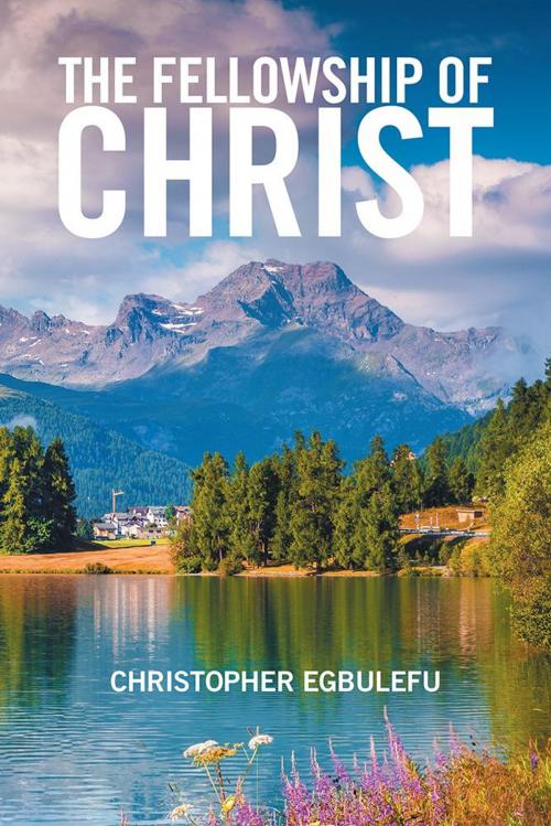 Cover of the book The Fellowship of Christ by Christopher Egbulefu, Xlibris US