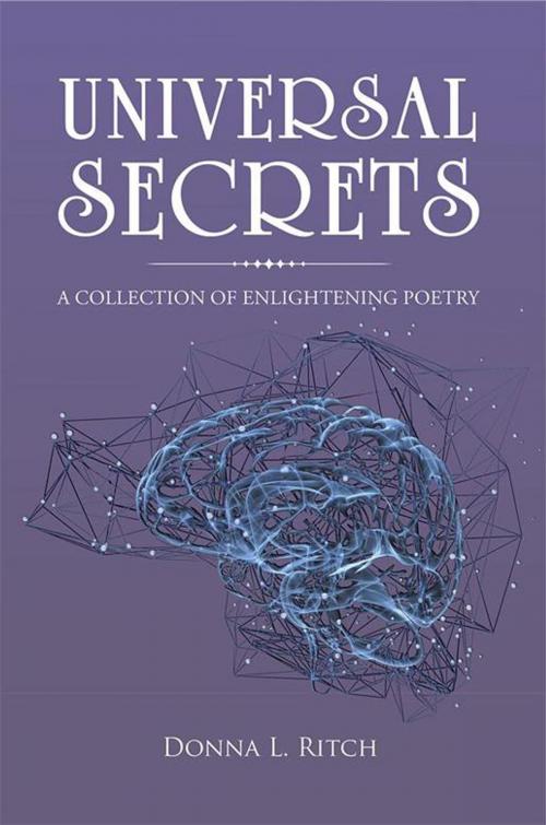 Cover of the book Universal Secrets by Donna L. Ritch, AuthorHouse