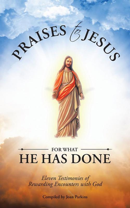 Cover of the book Praises to Jesus for What He Has Done by Joan Parkins, AuthorHouse