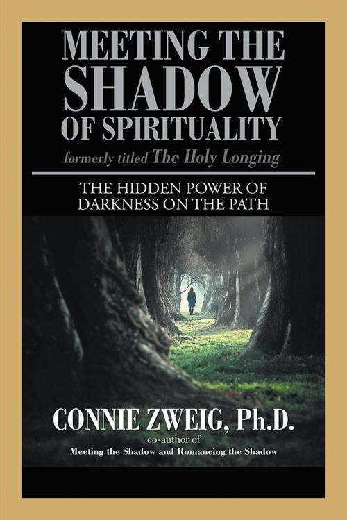 Cover of the book Meeting the Shadow of Spirituality by Connie Zweig Ph.D., iUniverse