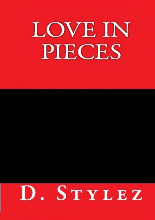 Cover of the book Love In Pieces by D Stylez, D Stylez