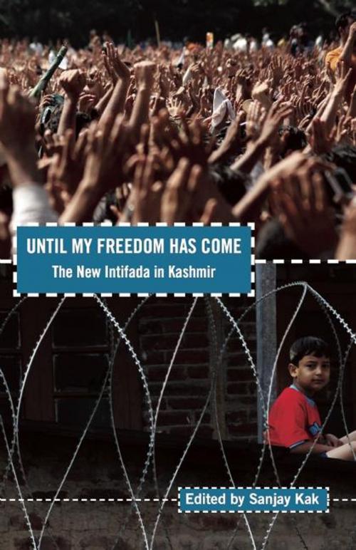 Cover of the book Until My Freedom Has Come by Sanjay Kak, Haymarket Books