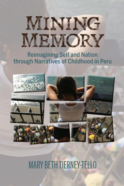 Cover of the book Mining Memory by Mary Beth Tierney-Tello, Bucknell University Press