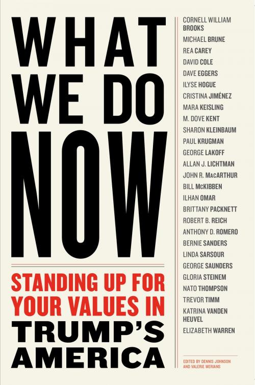 Cover of the book WHAT WE DO NOW by , Melville House