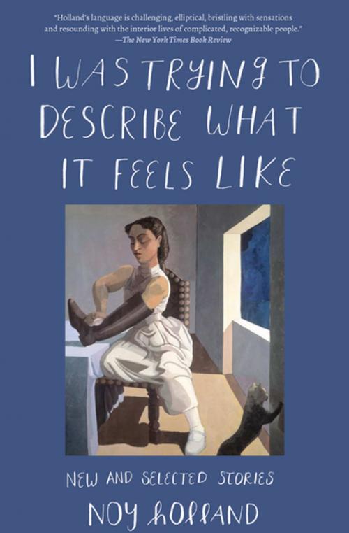 Cover of the book I Was Trying to Describe What it Feels Like by Noy Holland, Counterpoint Press