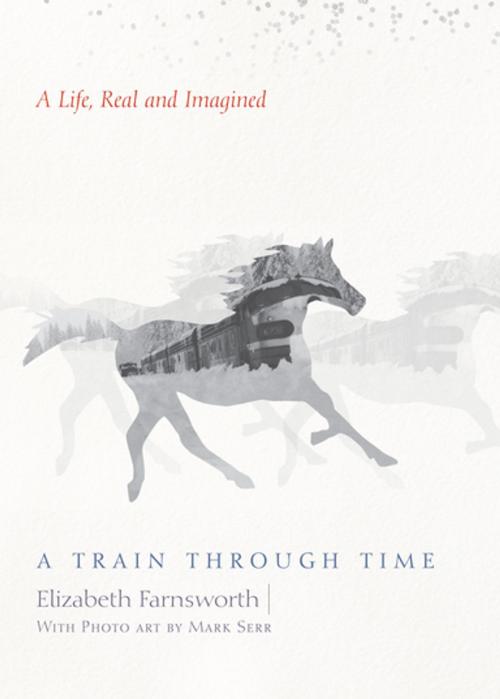 Cover of the book A Train through Time by Elizabeth Farnsworth, Mark Serr, Counterpoint