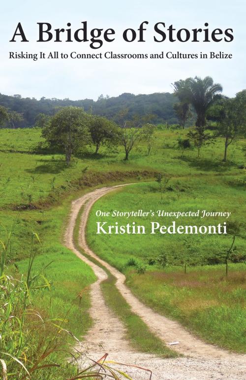 Cover of the book A Bridge of Stories by Kristin Pedemonti, Parkhurst Brothers, Inc.
