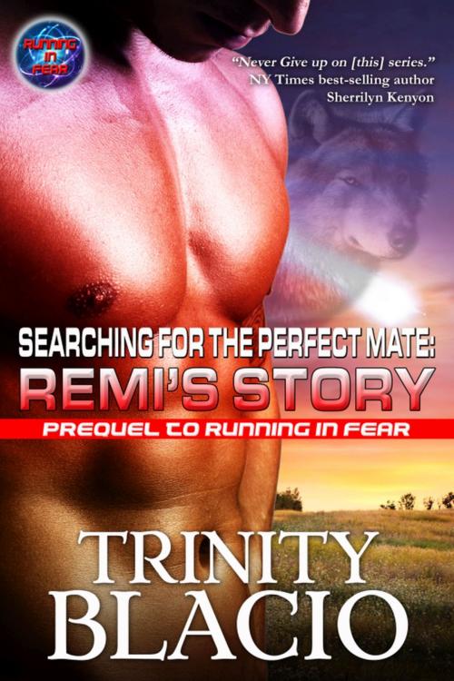Cover of the book Searching for the Perfect Mate: Remi’s Story by Trinity Blacio, Riverdale Avenue Books LLC