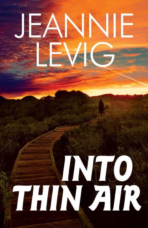 Cover of the book Into Thin Air by Jeannie Levig, Bold Strokes Books, Inc.