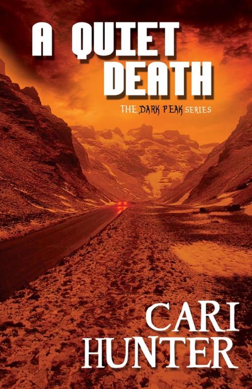 Cover of the book A Quiet Death by Cari Hunter, Bold Strokes Books, Inc.