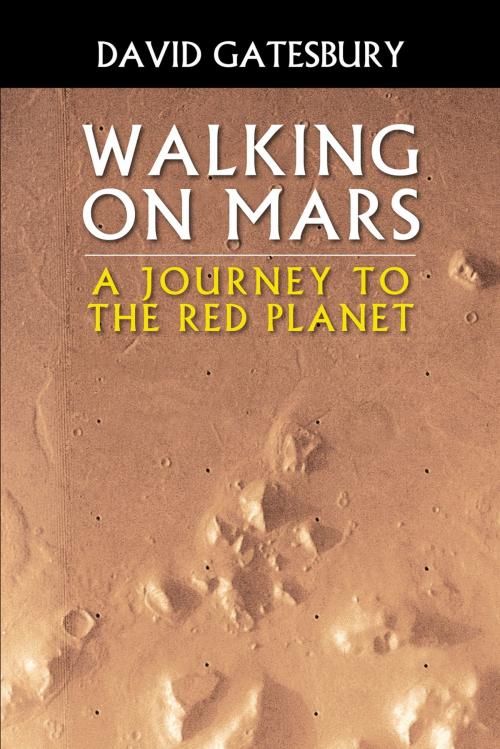 Cover of the book Walking on Mars: A Journey to the Red Planet by David Gatesbury, Fulton Books, Inc.